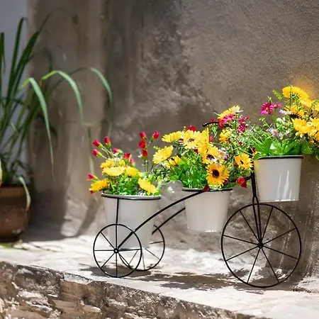 Authentic Stone House In Limnatis, Cozy Patio, Full Kitchen Holiday home Limnatis